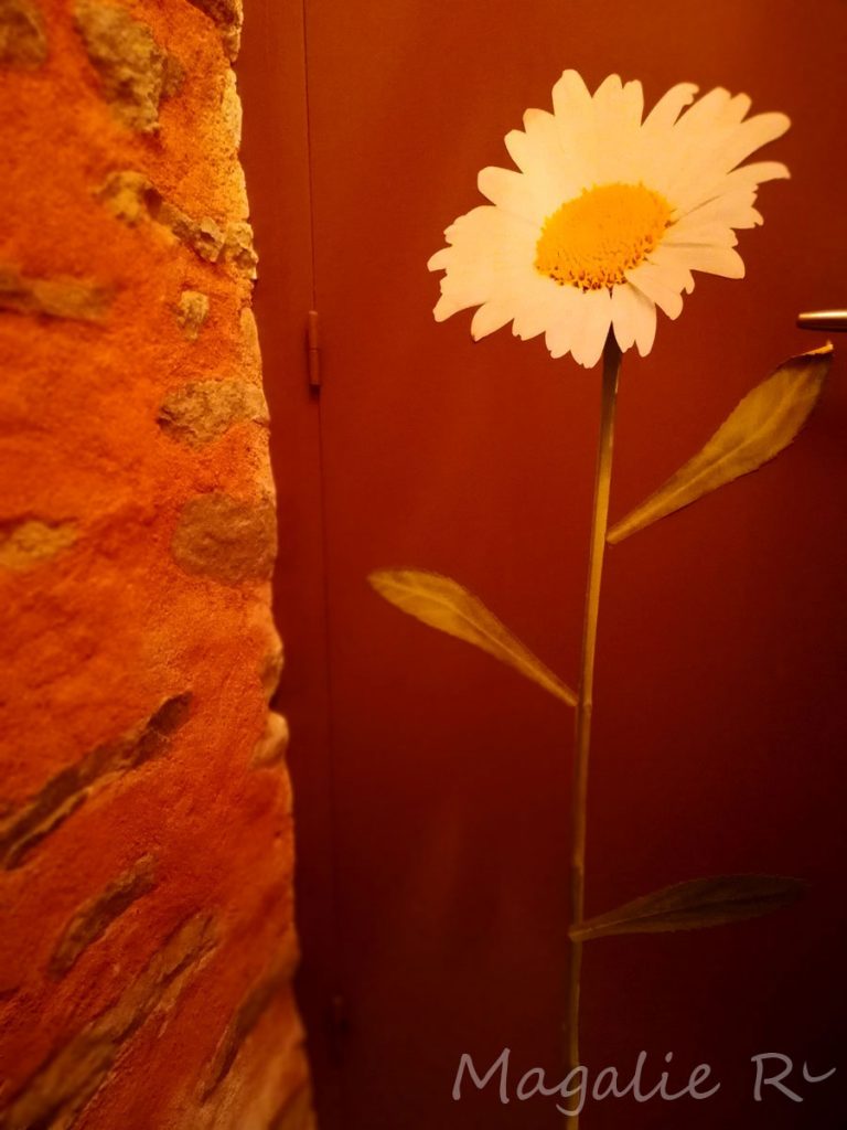 Fabriqemoi-toilettes-fleur-deco Intérieur de chez FabriQémoi